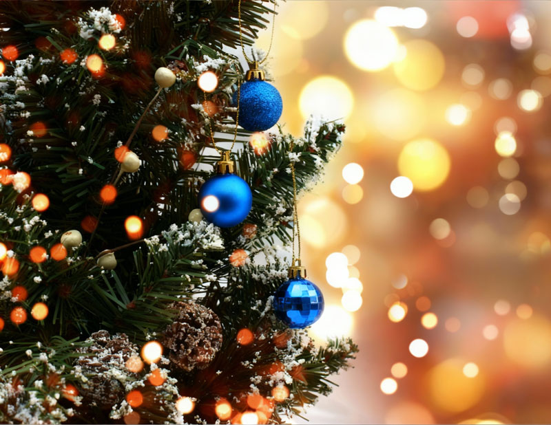 Price First Taxis Christmas Rates websafe - Price First Taxis christmas taxi torbay